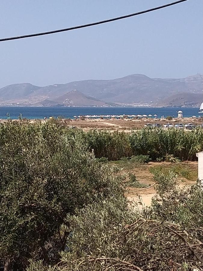 Nikoletta Studios 1 آغيوس بروكوبيوس المظهر الخارجي الصورة
